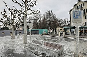 70779_8.jpg