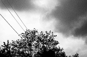 41066_8.jpg