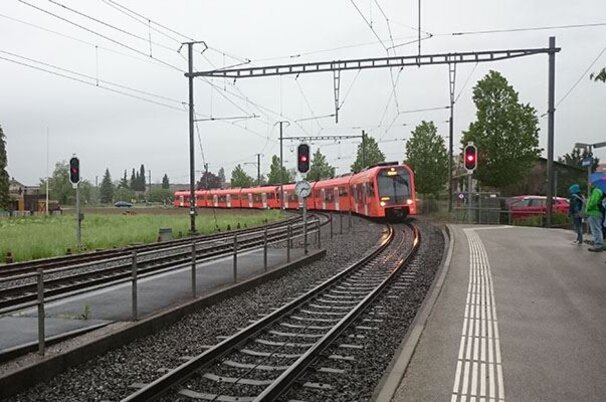 55153_8.jpg