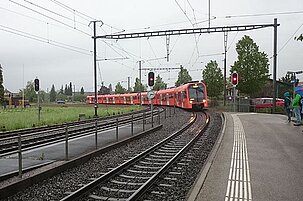55153_8.jpg