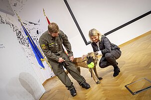 698ff8eb-3321-7589-dfa5-4f214b94898f-63191-scaled.jpeg