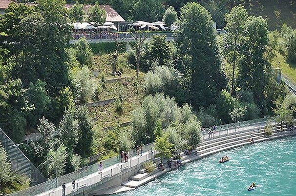 85117_8.jpg