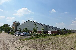 41159_8.jpg