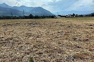 74414_8.jpg