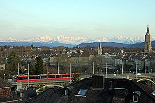 37783_8.jpg