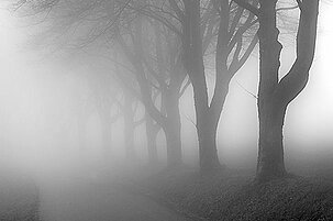 43825_8.jpg