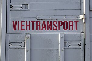 457db896-3dbe-d246-e34b-a8eaa8f3ca64-30188.jpeg
