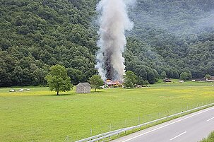 49599_8.jpg