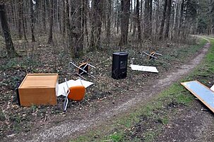 54070_8.jpg