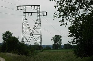58216_8.jpg