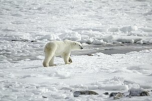e2483658-567e-203b-1bda-6cb1f55da9e6-22020.jpeg