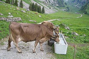 63614_8.jpg
