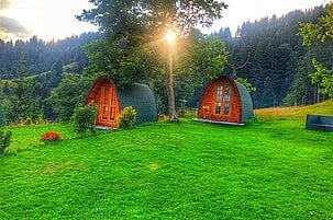 80007_8.jpg