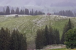 82996_8-1.jpg