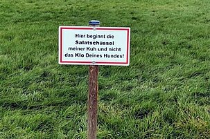94195_8.jpg