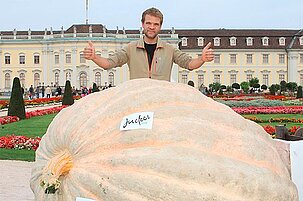 43743_8.jpg