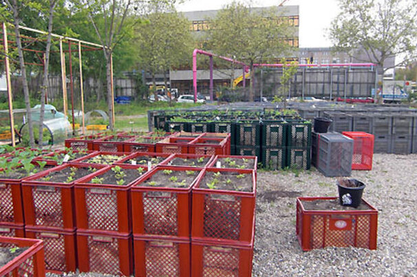 6830_8.jpg