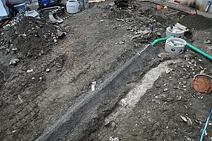 89606_8-1.jpg