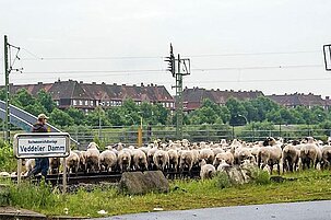 55760_8.jpg