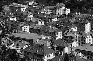 77534_8.jpg