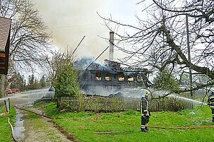 47650_8.jpg
