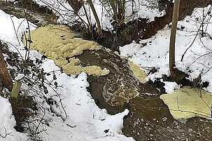 79475_8.jpg