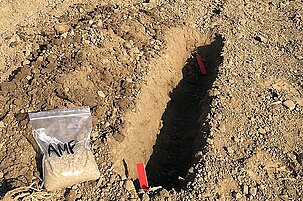 79515_8.jpg