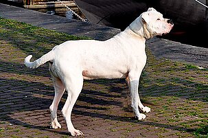 85236_8.jpg