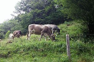 92505_8.jpg