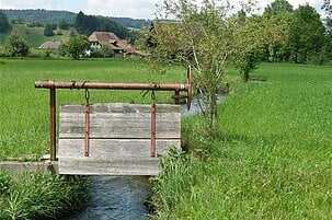 81629_8.jpg