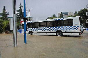 43222_8.jpg