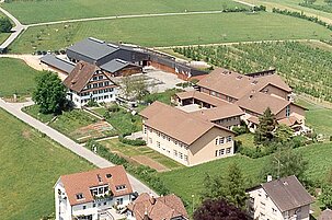 52743_8.jpg