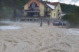 55138_8.jpg