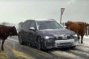 84308_8.jpg