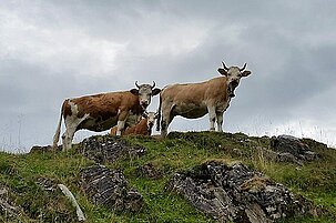 50209_8.jpg