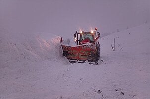 79549_8.jpg