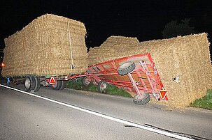 42248_8.jpg
