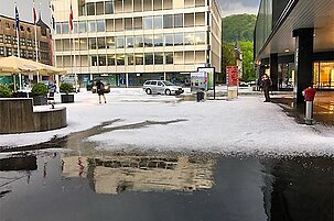 72998_8.jpg