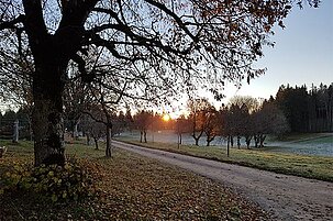 84138_8.jpg
