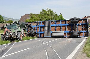 40959_8.jpg