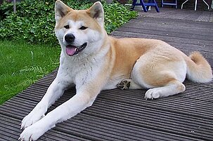 57728_8.jpg