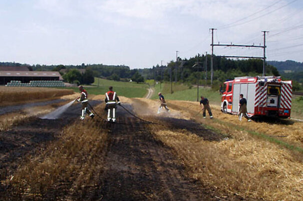 6798_8.jpg