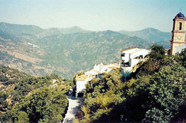 8105_8.jpg