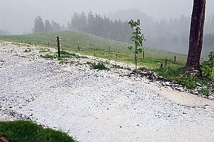82690_8.jpg