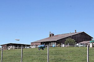 38148_8.jpg