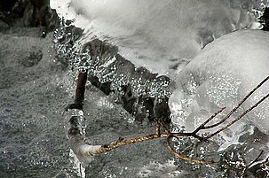 48496_8.jpg