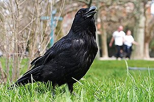 55716_8.jpg