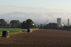 42395_8.jpg