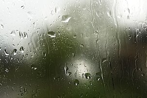 55169_8.jpg