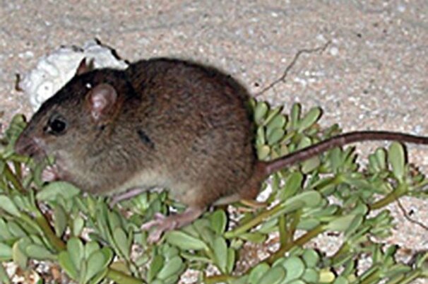 55759_8.jpg